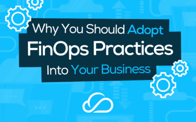 Signs You Should Adopt FinOps Practices Into Your Business